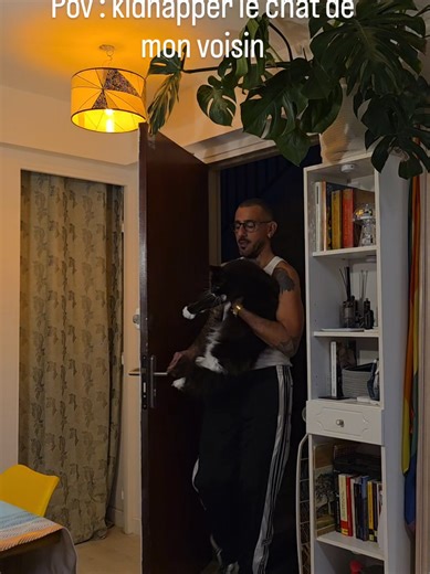 Vidéos de MattmagicXL (@mattmagicxl) avec Bad Boys (Theme from Cops) - Inner Circle