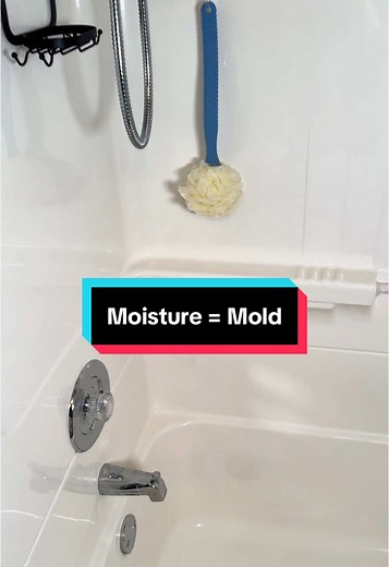 Eliminate Sneaky Mold Stains with Clorox Bleach