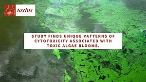 15K views · 78 reactions | Researchers reveal distinctive...