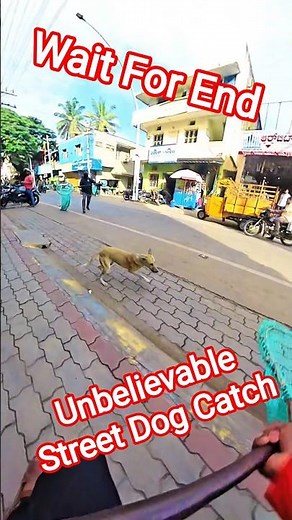 Street Dog Catching Unbelievable #dog #dogwithpublicsafety #catch #ytviral #shorts