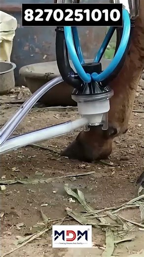 MAHA Milking Machine – Faster Milking, Less Effort, More Profit!