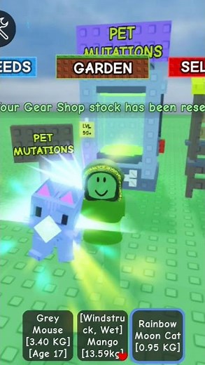 putting my first ever pet into mutation machine (part-2)