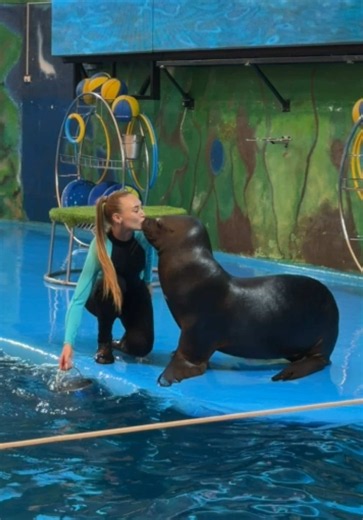 #dolphinariumnemo #nemo | nemo