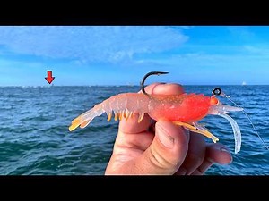 I Tossed out a NEW Shrimp Jig over this Drop Off and Caught this GIANT! [Multiple Species]