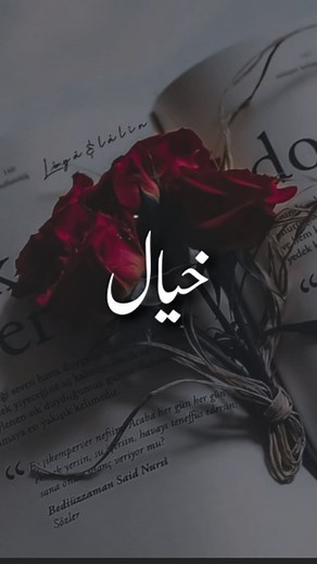 ‎𝑁 /ن‎ on Instagram: "𝙁𝙤𝙡𝙡𝙤𝙬 𝙛𝙤𝙧 𝙈𝙤𝙧𝙚 ❤️ @nayab.quotes . . . . . . 📣𝙏𝙪𝙧𝙣 𝙤𝙣 𝙋𝙤𝙨𝙩 𝙉𝙤𝙩𝙞𝙛𝙞𝙘𝙖𝙩𝙞𝙤𝙣🔔 . 🌹𝙁𝙊𝙇𝙇𝙊𝙒 💕👉@nayab.quotes 💞 . . . 💌 @nayab.quotes 💌 . ._____________💕💓🥰____________ .........................💙...................💌....................💚................ .............💌....................💚................ . . #reels l #trending #trend #trendingreels#explorepage✨ #exploreindia #trendingsound #broken #brokenlines #brokenheart #bewaf