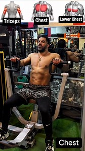 172K views · 1K reactions | Chest Press Machine Variations (KNOW THE DIFFERENCE!) Sculpt and strengthen your chest with the Chest Machine Press This controlled movement isolates the chest muscles, helping you build size and definition with perfect form. Add it to your routine for solid gains and improved chest strength!  #chestworkout #machinepress #musclebuilding #strengthtraining #fitnessgoals #chest | Bodyfitness GYM | Facebook