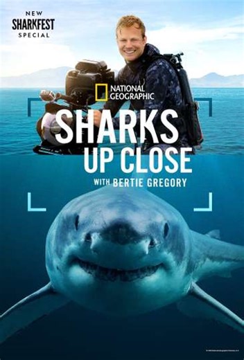 Sharks Up Close with Bertie Gregory (2025) - Movie