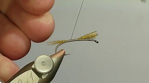 31 reactions | Rope Dubbed Adams Wet Fly - 60-Second Tie // video by...