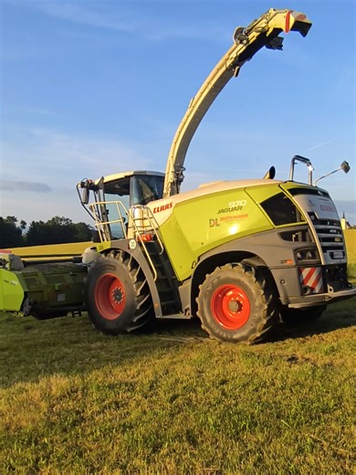 Claas Jaguar 970 Performance in Haymaking