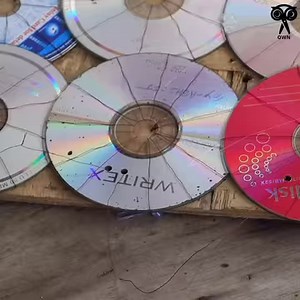 411K views · 5.9K reactions | how turn into CD DVD into a solar panel | Creative Own | Facebook