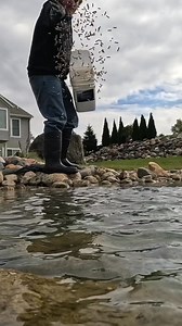 34K views · 151 reactions | Do you have a pond that needs a little TLC? Our friends at Mid-Michigan Ponds can help! | Michigan Out-of-Doors TV | Facebook