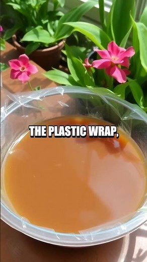 The DIY Solar Water Purifier Experiment