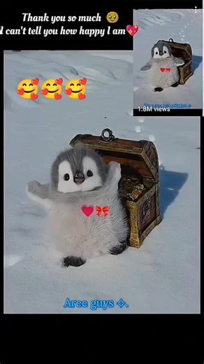 #funny 🥰🥰🥰#cute #shots #viralreels