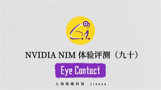 【NVIDIA NIM】体验评测系列（九十）：Eye Contact