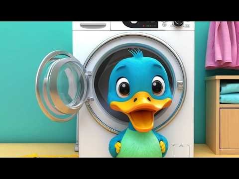 Canard se cache dans machine laver 🧺🦆