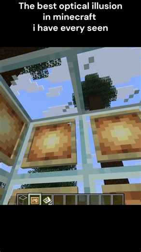 Best illusion in minecraft 😂😂🤣. job application #minecraft #gaming #finalcountdown #memes #games