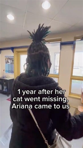 We have a heartwarming reunion to make your week even better! Some stories are just meant to be. A patron walked into our shelter, believing that the cat named Foxy on our website was actually her missing cat, November, who had escaped over a year ago. With photos to match and a timeline that lined up, she came in, and the moment Foxy saw her—it was so special! Foxy had been struggling in the shelter, staying perched up high, shy and withdrawn. But the second she saw her owner, she came right do