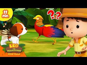 This Animal Behavior Is Absolutely INSANE! | Leo the Wildlife Ranger | Educational Cartoons for Kids
