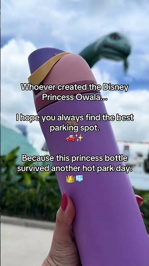It’s back!! owala disney princess collection! #owala #owalawaterbottle #summerwins #owaladisney