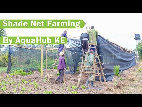 Shade Net Installation in Kenya | Full Step-by-Step Farming Guide 2025