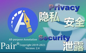 【Pair】一站式标注软件-教程11-PairCode标注安全化软件
