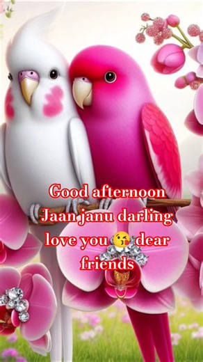 GOOD AFTERNOON video