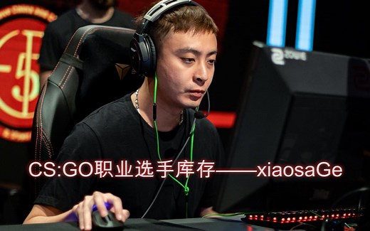 CS:GO职业选手库存——xiaosaGe