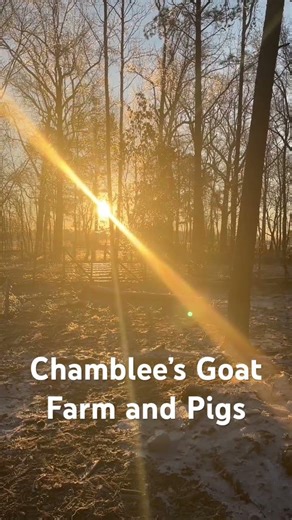 God I thank you for a another day Woo Wee