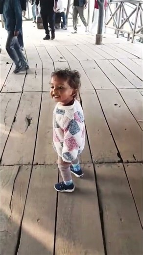 🫏🫏🪼🪼🪼🫎🫎🪽🪽🐦‍⬛🪿🪸🪸🪸🪸