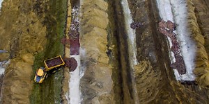 After Culling Millions of Mink to Combat Covid-19, Denmark Weighs Digging Them Up Again