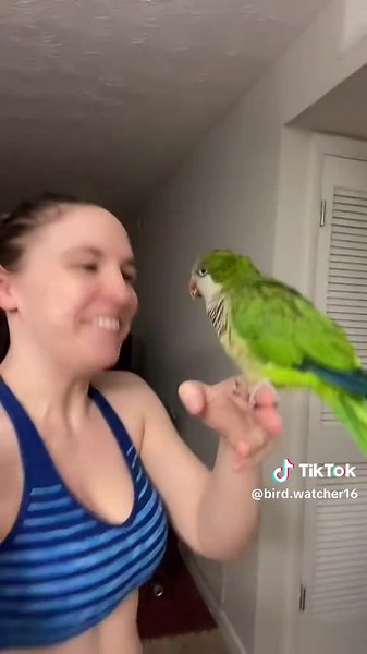 Parrots That Swear: Hilarious Bird Moments