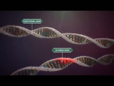 2026 Breakthroughs: Transforming RP Treatment!