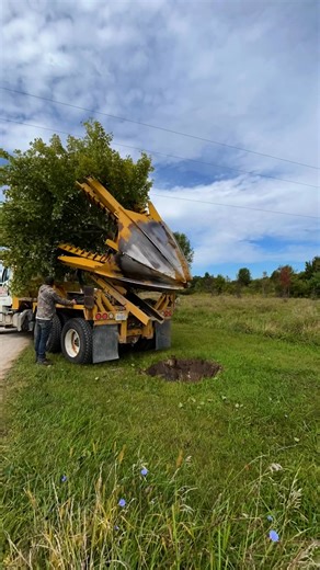 A quick look back at a summer project moving a variegated maple to a new spot on the property. This one turned out awesome! // #foxtreefarm #mapletree #spadetruck #spadedinstallation #onsitetreemoving #landscaping #bluecollar #portlandmichigan #lansingmichigan | Fox Tree Farm