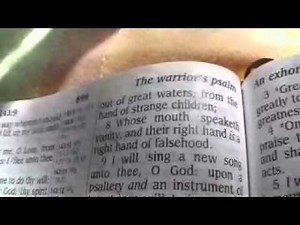 Psalm 144 King James Holy Bible