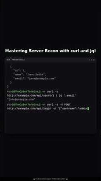 I Hacked a Server Using Only curl and jq