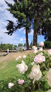 251K views · 213 reactions | Que lindo que es Villa la Angostura  #villalaangostura #Neuquen #Patagonia #DescubreArgentina #ViajamosJuntos #Turismonacional Villa La Angostura (Turismo) | Descubre Argentina | Facebook