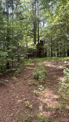 28K views · 1.6K reactions | Old cabin hidden in the woods! | Adventures Into History | Facebook