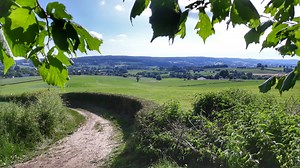 Dutch Mountain trail | Pippin Hikes | Wandelvakantie