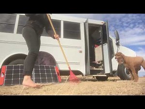 Cleaning up the front yard // Barefoot Daria