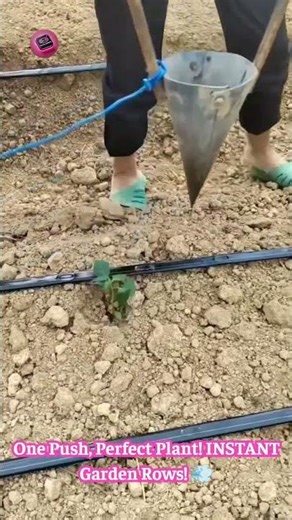 Gardening HACK: Plant Hundreds In SECONDS With This Genius Tool! 🌿⏱️🤯 #FastPlanting #GardenTools