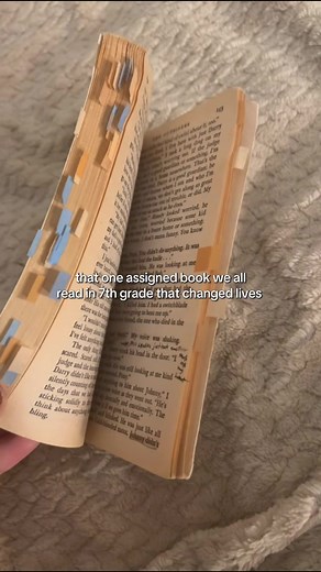 The Outsiders: A Life-Changing 7th Grade Read