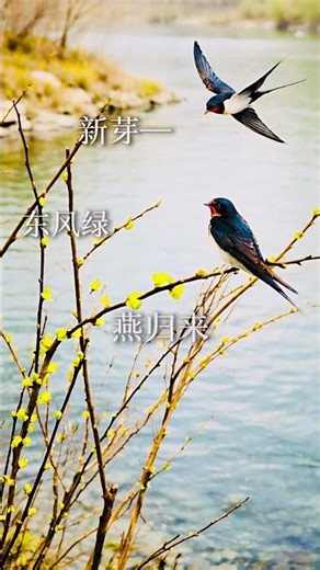 春天只用了三行诗 #whatapoem