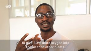 Kenya: Students make smart air purifier from bamboo