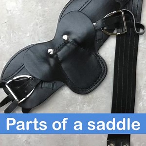 13K views · 23 reactions | Parts of a saddle. How many do you know?! #horsetoy #educational #craftyponies_uk #toypony #horse #toy #saddle #horseequipment #horsetack | Crafty Ponies | Facebook