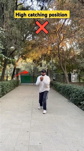 High Catching Cup Method | Cricket | Cricket Basics #cricket #shorts #cricketbasics