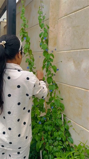 🏡Rainy Day🇦🇪#ytshortsfeed#youtubeshorts#youtube#shortsfeed#shorts