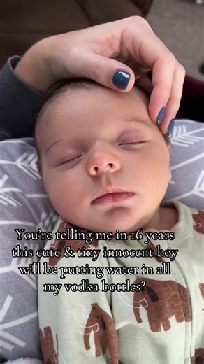 Adorable Baby Giraffe Moments to Melt Your Heart