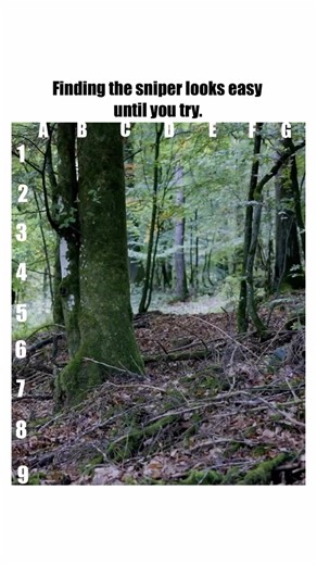 Discover Crazy Scenes in Unique Locations