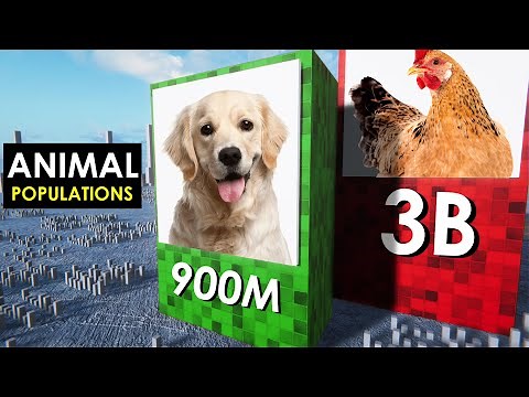 Animal Populations 3D COMPARISON