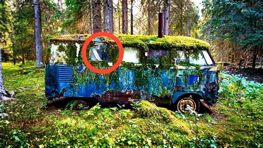 2.5K views | “An abandoned bus in the forest… with a secret inside”  What Stephen and his father found during a simple hike turned into the discovery of a hidden woodland retreat — complete with beds, a kitchen, and a story you won’t believe. See the incredible photos in the comments below  | Nice smile | Facebook